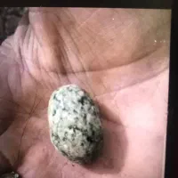 Sang frosh fori|کلکسیون اشیاء عتیقه|قوچان, |دیوار