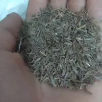 سلام دوستان ۲ کیلو زیره به فروش میرسد