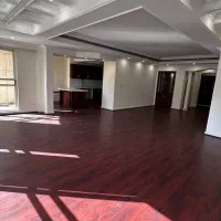 کامرانیه شمالی۲۲۰متر لحظه آخری ۵۵میلیارد فقط امروز|فروش آپارتمان|تهران, کامرانیه|دیوار