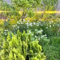 باغ-ویلا-غار-750متری-کوچه-نسترن