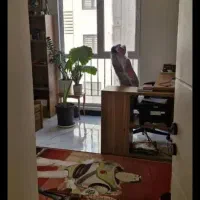 آپارتمان 148 متری سه خواب دو نبش فول امکانات|فروش آپارتمان|ری, شهادت|دیوار