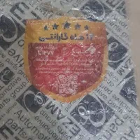 کمک عقب وجلو عظام سمندی