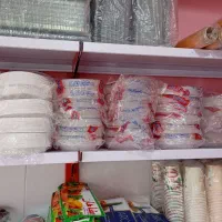 عمده فروشی یکبار مصرف آینده