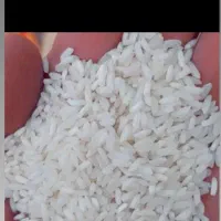 برنج چمپا درجه یک