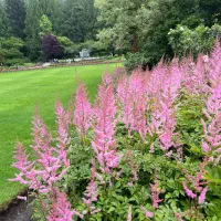 استخدام نیرو برای باغداری تمام وقت