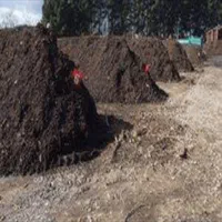 باغبانی|خدمات باغبانی و درختکاری|ورامین, ورامین|دیوار