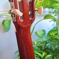 گیتار والنسیا CG160|گیتار، بیس، امپلیفایر|تهران, تهرانپارس شرقی|دیوار