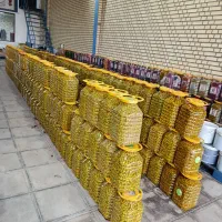 زیتون عمده،خورده