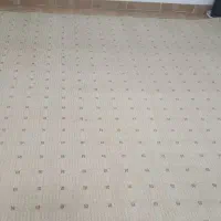 سلام موکت پالاز