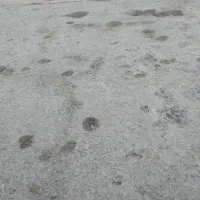 زمین مسکونی مومن اباد