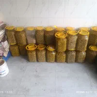 زیتون کنسروی کله بار