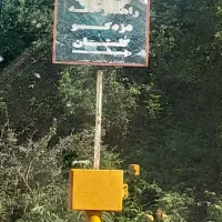 زمین-شالی-کاری