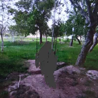 باغ به قیمت یک متر موکت