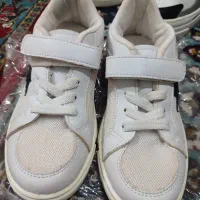 دو جفت کتونی (نو)|کیف، کفش، کمربند|الشتر, |دیوار