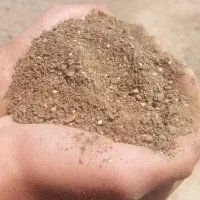 ۵ تن خوراک دامی مقوی و اقتصادی