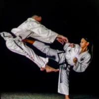 آموزش فنون رزمی ویژه بانوان