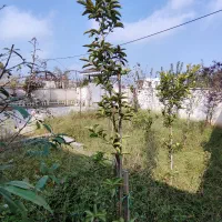 ویلا ۲۱۰ متری با ۹۰متر بنا ارزنده ترین ویلا در چاف|فروش خانه و ویلا|چاف و چمخاله, |دیوار