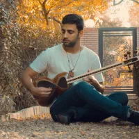آموزش تخصصی موسیقی سنتی،ایرانی(تار،سه تار و تنبک)|خدمات آموزشی|کرج, جهان‌شهر|دیوار