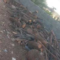 انواع چوب