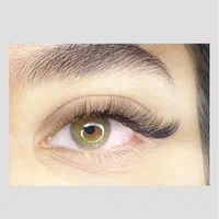 اکستنشن مژه ولیفت و لمینت مژه|خدمات آرایشگری و زیبایی|شیراز, فرهنگیان|دیوار