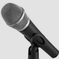 خواننده عروسی....‌