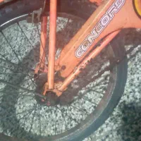 دوچرخه سایز ۲۰ دخترانه|دوچرخه، اسکیت، اسکوتر|گنبد کاووس, |دیوار