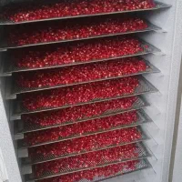 دستگاه میوه خشک موجوده|خوردنی و آشامیدنی|بندر گز, |دیوار