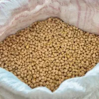 نخود درجه یک عمده کیلویی ۱۵۵