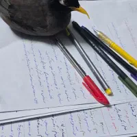 گمشده در محدوده دکتر حسابی قاسم اباد