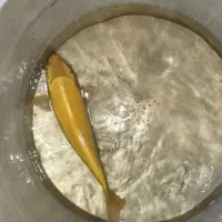 ماهی کوی|ماهی|سبزوار, هویزه|دیوار