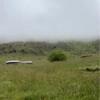 فروش زمین باغی ۱/۳۰۰متری هماشهر (بالای جاده