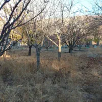 فروش باغ در داخل شهر هیر