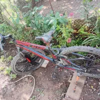 فروش دوچرخه|دوچرخه، اسکیت، اسکوتر|آستارا, |دیوار