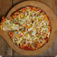 شراکت شریک فست فود پیتزا