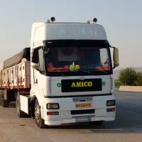 کشنده آمیکو