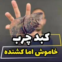 میخوای بدونی داخل بدنت چه مشکلی داره|خوردنی و آشامیدنی|مشهد, ارشاد|دیوار