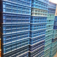 سبد شرکتی|فروشگاه و مغازه|لامرد, |دیوار