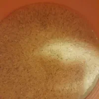 کشت دوم برنج هاشمی۱۵۰کیلوگرم