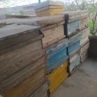 کندوی زنبور عسل