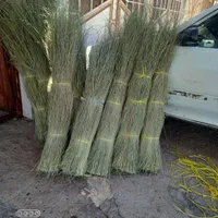 کرتک بسته ۱۷۰