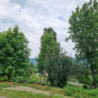 اجاره روزانه/هفتگی/ماهانه ویلا جنگلی زیبا|اجارهٔ کوتاه‌مدت ویلا و باغ|ماکلوان, |دیوار