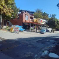 فروشنده خانم