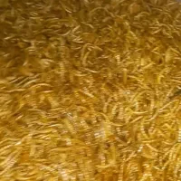 کرم میلورم خشک با بهترین کیفیت