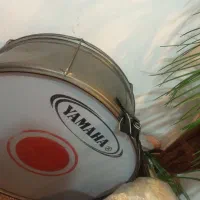 طبل نو است که قیمت 3500000