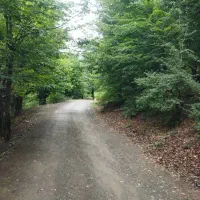 اجاره روزانه اقامتگاه  همرا با اتاق و سوئیت|اجارهٔ کوتاه‌مدت آپارتمان و سوئیت|رستم‌آباد, |دیوار