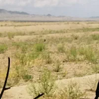 زمین-کلنگی-درجه-یک-200متری