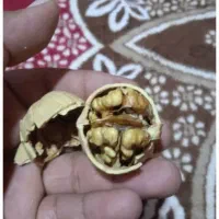 گردوبادام انجیرتوت سنجد رب انار هورامان درجه ۱|عمدهفروشی|بیجار, |دیوار