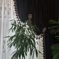 والان پرده|پرده، رانر، رومیزی|مراغه, |دیوار