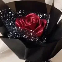 گل روبانی جاودانه