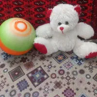 عروسک|اسباب‌‌بازی|گرمسار, |دیوار